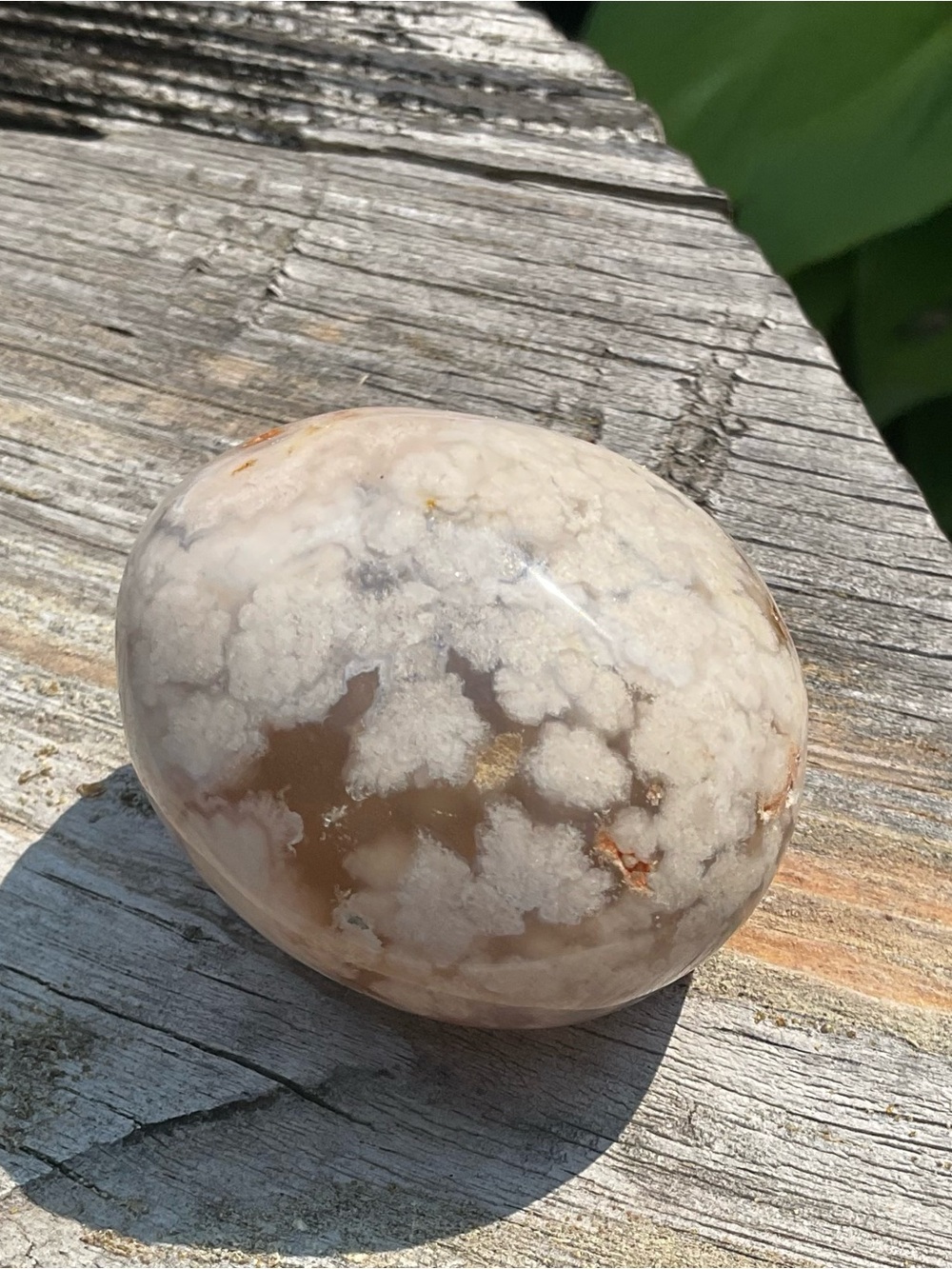 FLOWER AGATE PALM STONE CALCEDONY CRYSTAL SMOOTH POLISHED